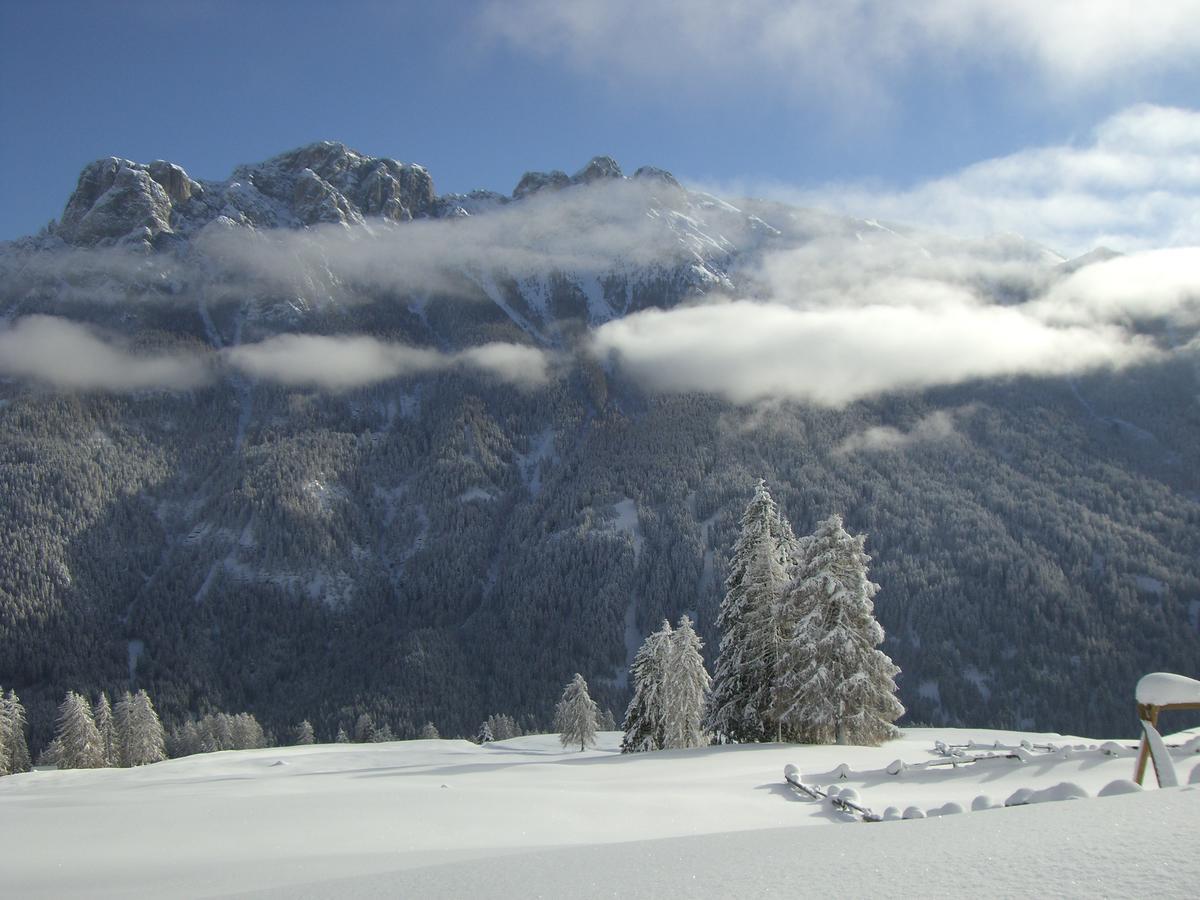 B&B Fior Vigo di Fassa Eksteriør bilde